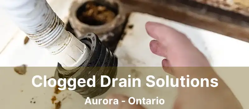 Clogged Drain Solutions Aurora - Ontario