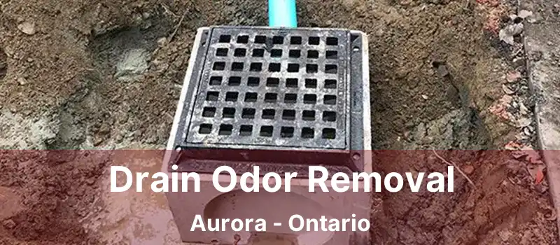  Drain Odor Removal Aurora - Ontario